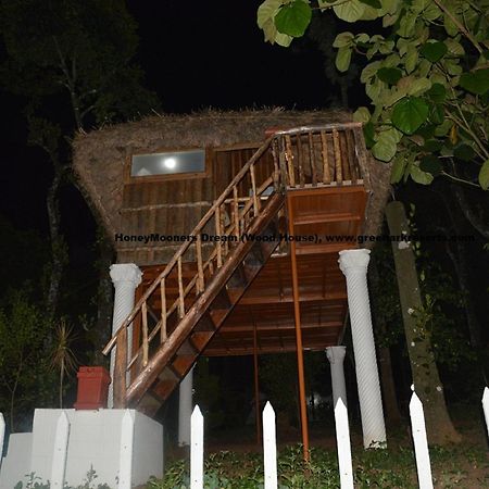 กรีน อาร์ค รีสอร์ต Bed & Breakfast เทกคาดี ห้อง รูปภาพ