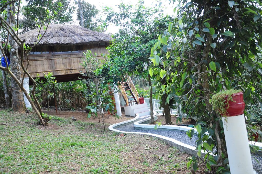 กรีน อาร์ค รีสอร์ต Bed & Breakfast เทกคาดี ภายนอก รูปภาพ