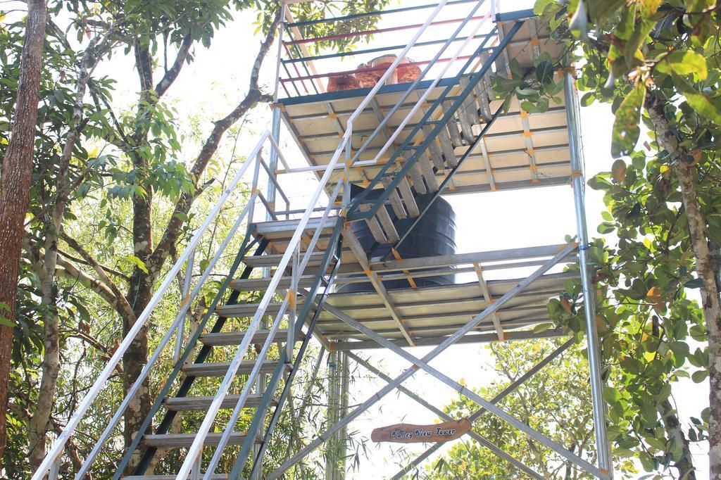 กรีน อาร์ค รีสอร์ต Bed & Breakfast เทกคาดี ภายนอก รูปภาพ